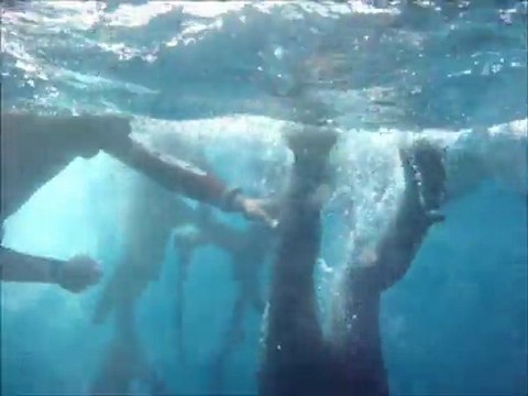 Recep ASLAN Zıpkınla Balık Avı Kursu 30 Ekim 2011