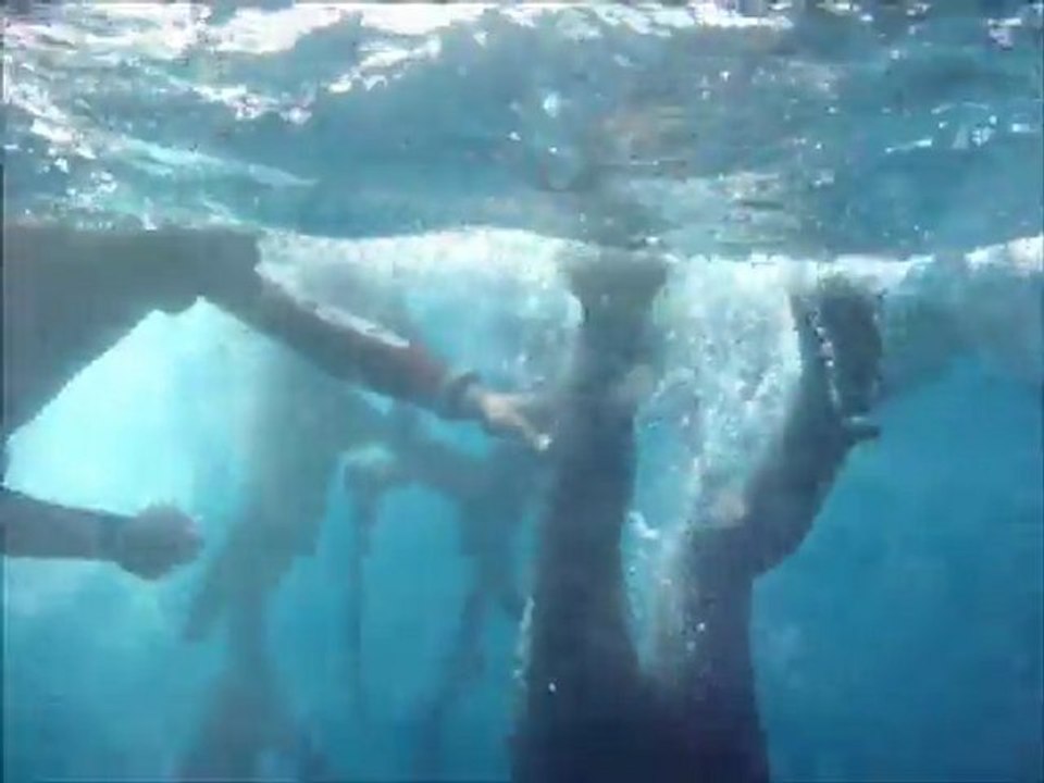 Recep ASLAN Zıpkınla Balık Avı Kursu 30 Ekim 2011