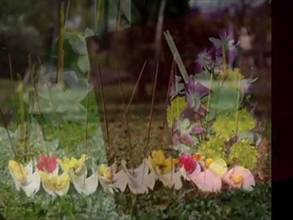 Loi Krathong Festival 2011