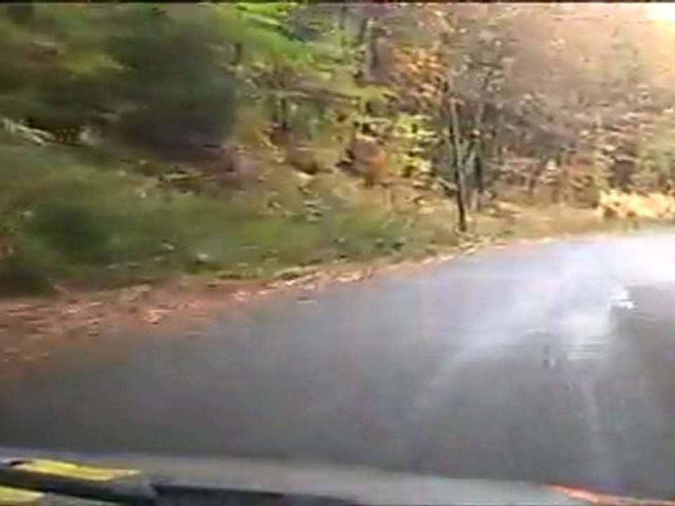 Rallye du Cantal 2011 Es4-Labesserette Lamouret/Delpech Saxo Vts F2/13