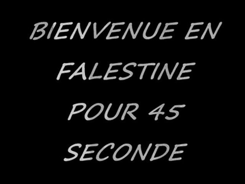 Cat Power - terre interdite palestine