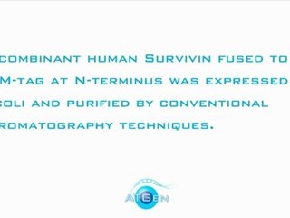 Recombinant Proteins  Survivin