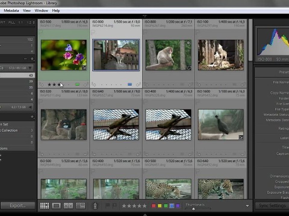 Урок 013 полного русского курса по Lightroom 2