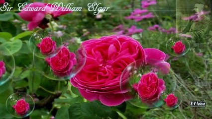 Elgar - Marche Pomp and Circumstance No.1