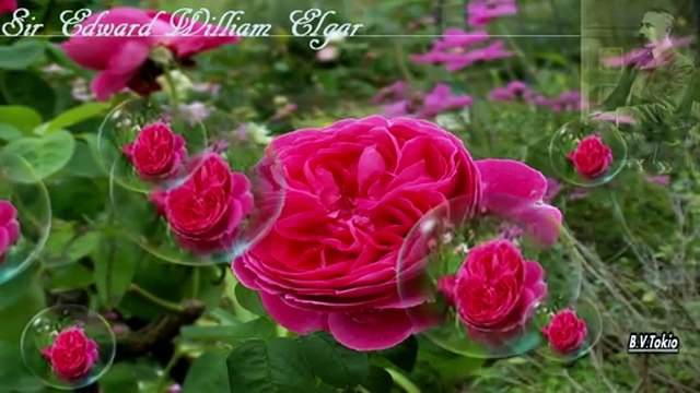 Elgar - Marche Pomp and Circumstance No.1