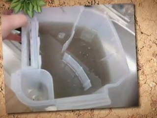 Hoover SteamVac Carpet Cleaner with Clean Surge - Top ...