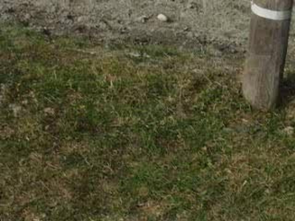 concours saint thomas 12eme