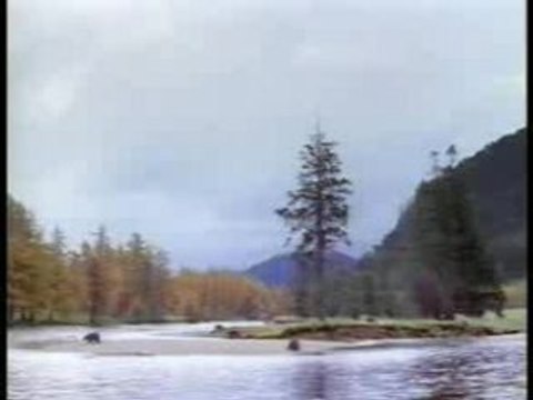 La pêche aux saumons en Alaska