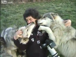 Фотограф и волци