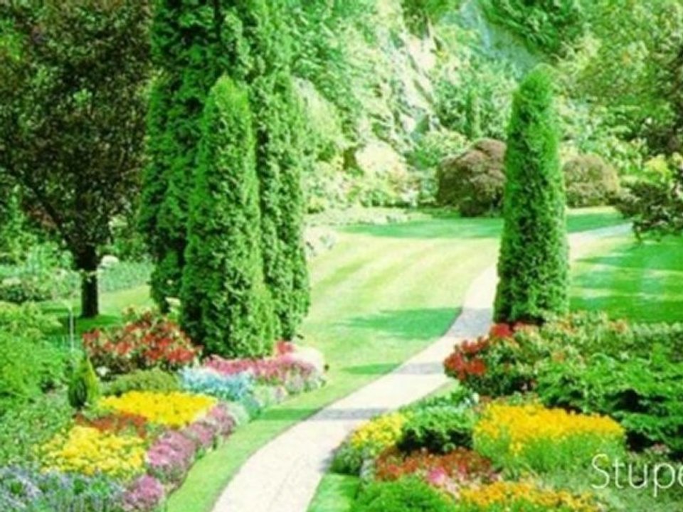 mehmet sökel - uzun ince bir yoldayım