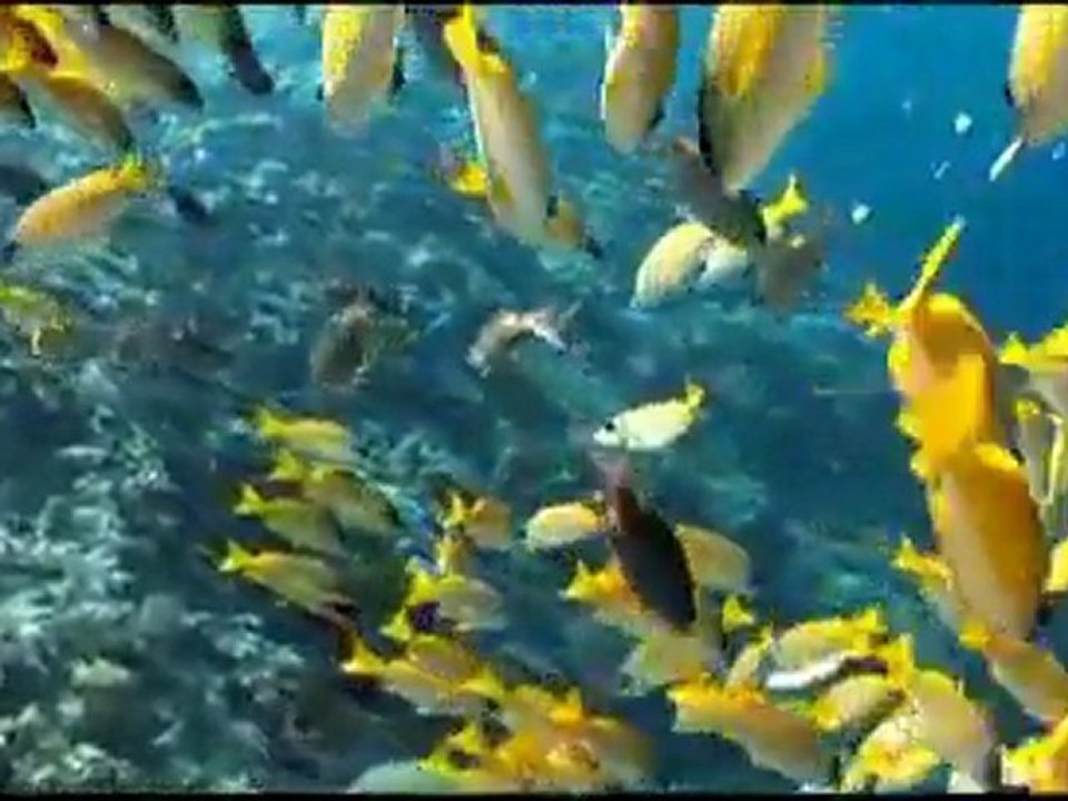 Flip UltraHD Camcorder 120 Minutes (Black)