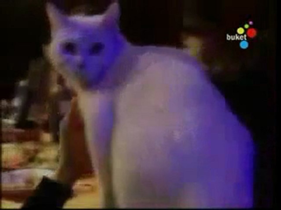 Sezen Aksu - Ruhuma Asla