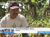 Climate - Rain Forest Protection in Guatemala | Global 3000