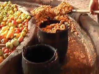 La pressée de cidre à l'ancienne (Eaux-Puiseaux)