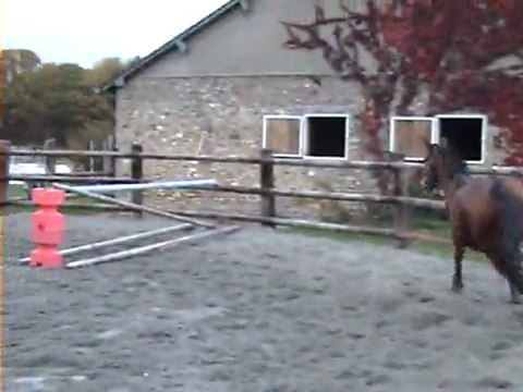 TWIST Obstacle liberté 2O11