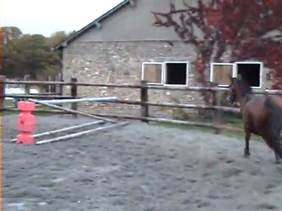 TWIST Obstacle liberté 2O11