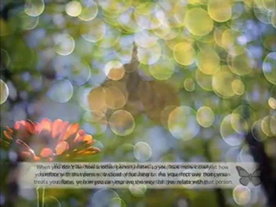 Love Your Way To Harmony: Wisie Wisdom Love Advice