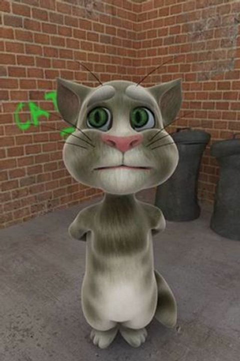 le chat kabyle