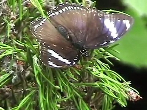 Parque de las ciencias