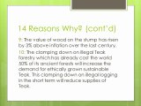 Investing in Teak Forestry 14 Reasons Why