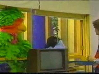 (DVD08) (24) LA SELVA Y SUS HABITANTES