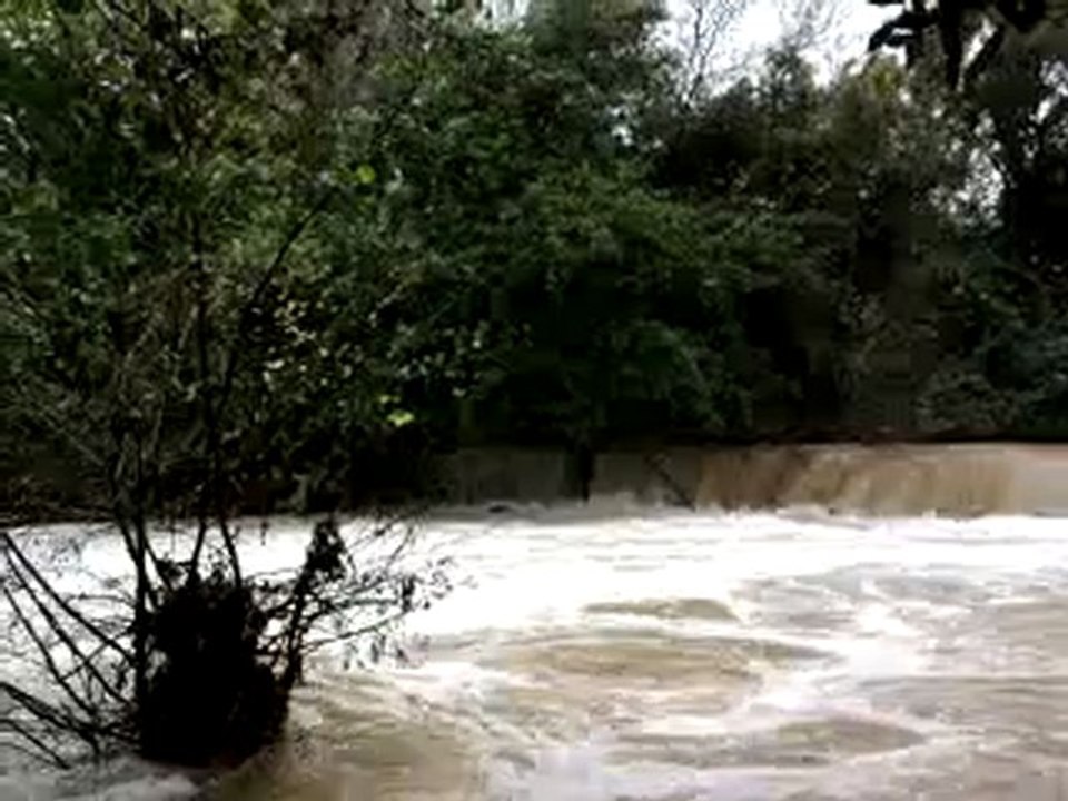 le Gapeau (sollies toucas) 08 11 2011