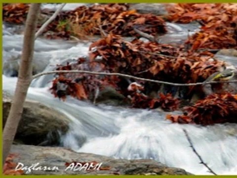 GÖZLERİN DOĞUYOR GECELERİME 16.9