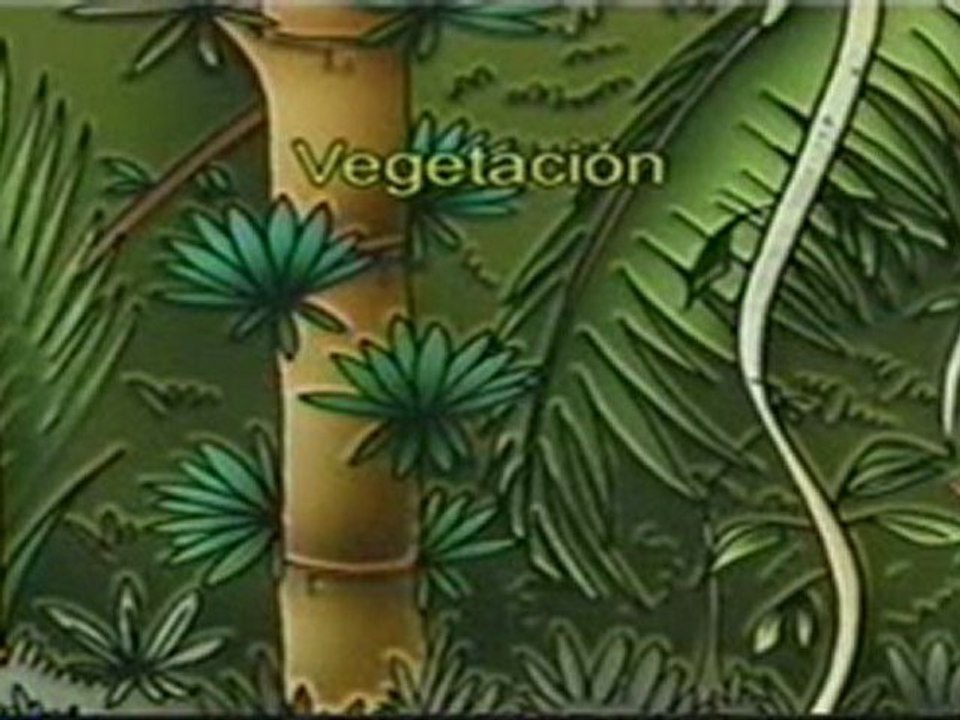 (DVD08) (34) CLIMA 4