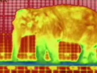 (DVD08) (35) CLIMA, CALOR Y TEMPERATURA