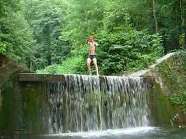 plongeon
