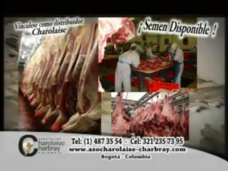 1_MARTES 8 NOVIEMBRE 2011 hda la aurora