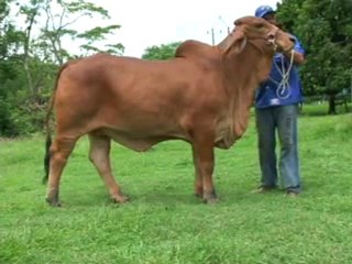 2_MARTES 8 NOVIEMBRE 2011 hda la aurora