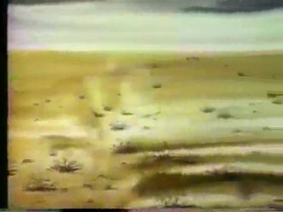 (DVD09) (09) CUIDA EL PAISAJE, CAMPAÑA