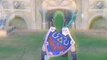 Zelda Skyward Sword Demo PAL E3 Wii vs Emulateur