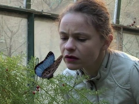 Démangeaisons de l'oracle / Florent Trochel