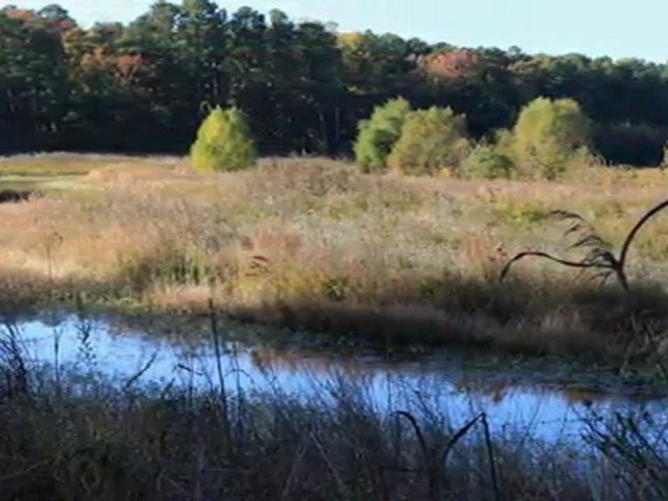 Virginia in Early Fall