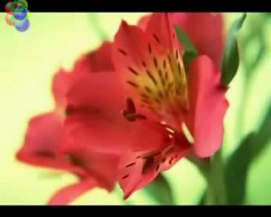 canomsesli.net seslisohbet videolar canomsesli SESLİGELİNCİK.COM BEKLERİZ