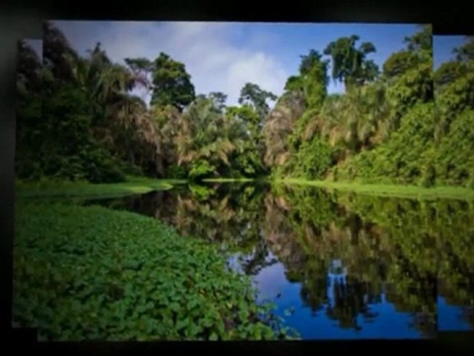 JACO COSTA RICA  BEACHFRONT
