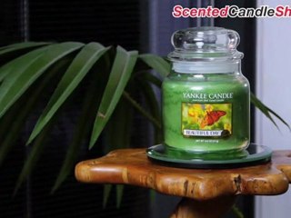 Jar Candles