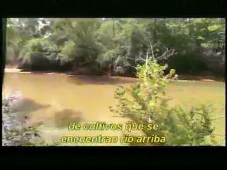 (DVD09) (20) ECOSISTEMAS, DESCUBRIMIENTO