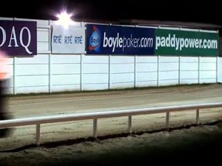 Paul Blart: Mall Cop goes to the Dogs