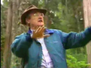 (DVD09) (42) EL ARBOL COMO BIOTIPO