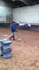 PLATINE DU RUISSEAU SAUT EN LIBERTE LE 5 NOVEMBRE 2011