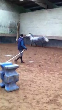 PLATINE DU RUISSEAU SAUT EN LIBERTE LE 5 NOVEMBRE 2011