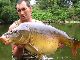 Mon film carpe pirates