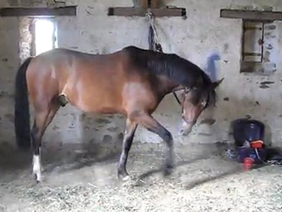 Quazac qui bouge SANS ARRET ^^