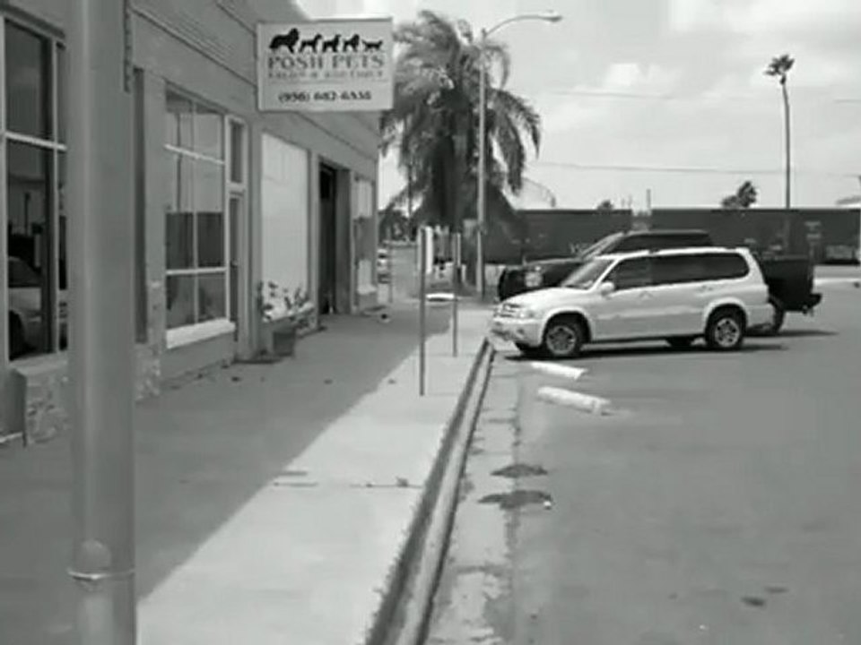 Train Horns - 1054 Truck Air Horn