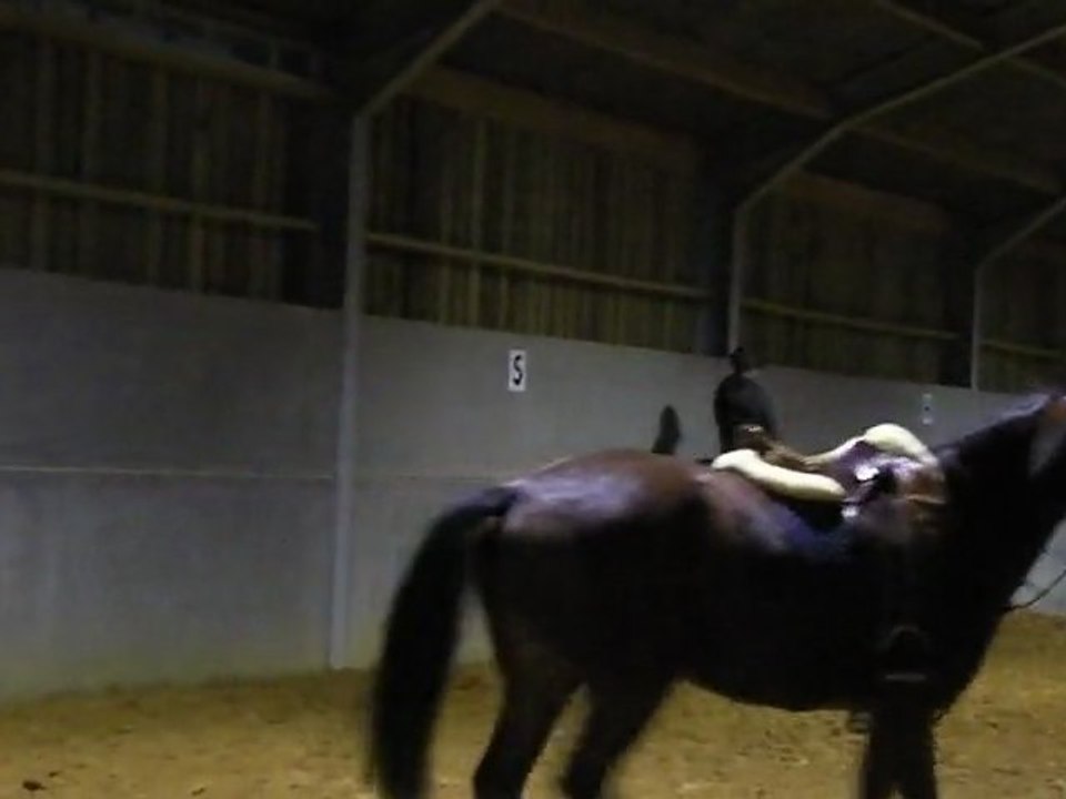 Ulys cours TM 8 novembre