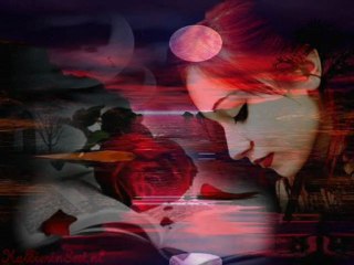 Bestami Korkmaz - Şu Yalan Dünya