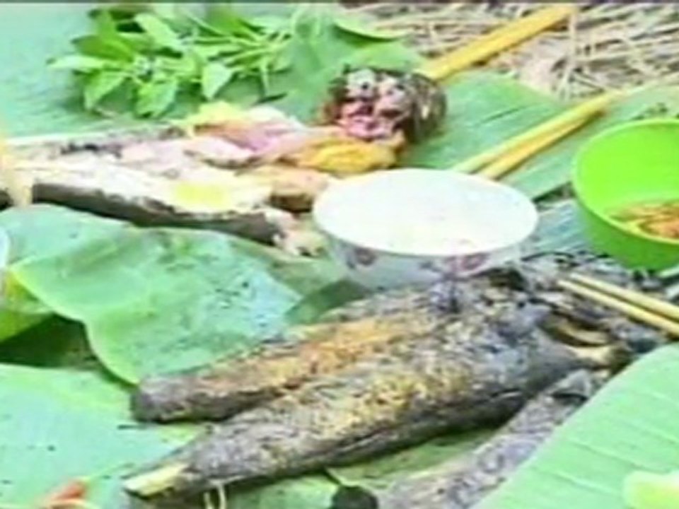 Tâm Hồn Việt - Quê Mẹ